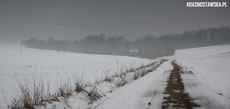 ZAPOMNIANE ZWYCIĘSTWO